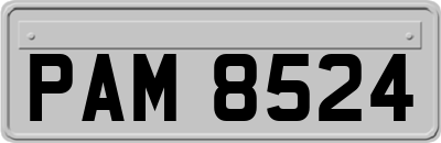 PAM8524