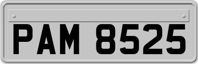 PAM8525