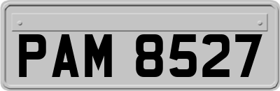 PAM8527