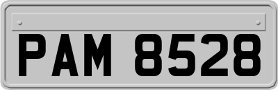PAM8528