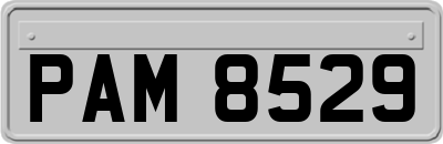 PAM8529