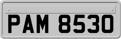 PAM8530