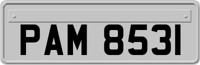 PAM8531