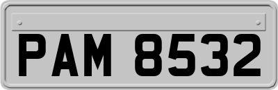 PAM8532