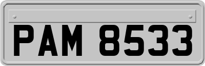 PAM8533