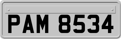 PAM8534