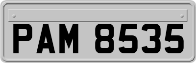PAM8535