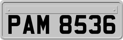 PAM8536