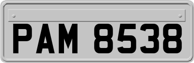 PAM8538