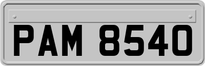 PAM8540