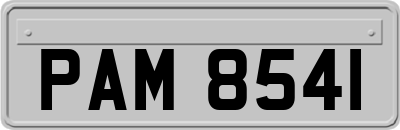 PAM8541