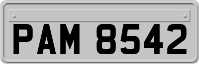 PAM8542