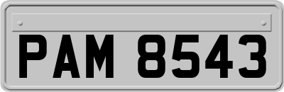 PAM8543