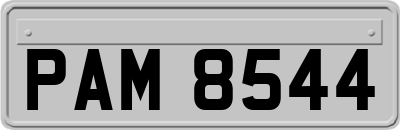 PAM8544
