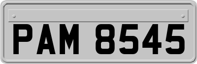 PAM8545