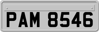 PAM8546