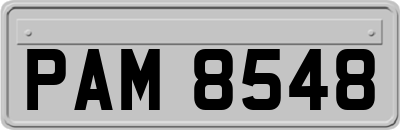 PAM8548