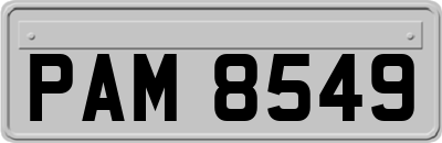 PAM8549