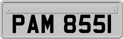 PAM8551