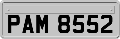 PAM8552