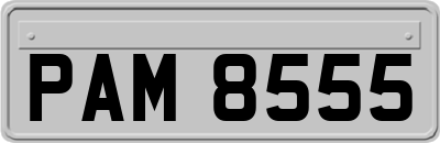 PAM8555
