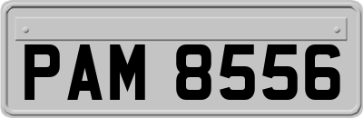 PAM8556