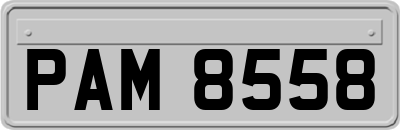 PAM8558