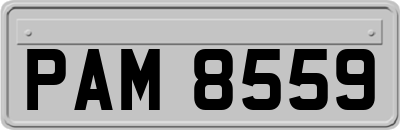 PAM8559