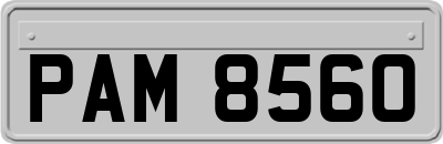 PAM8560