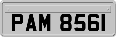 PAM8561
