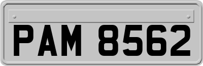PAM8562