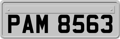 PAM8563