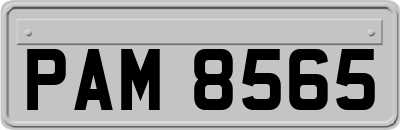 PAM8565
