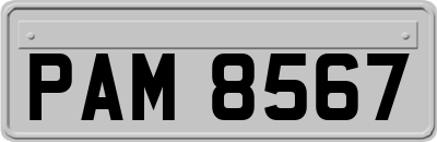PAM8567