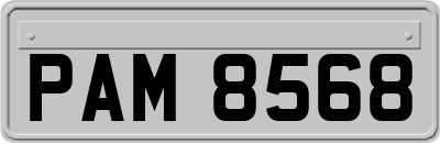 PAM8568