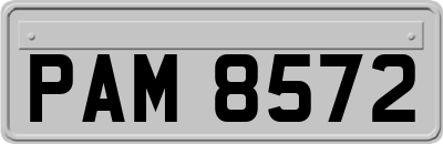 PAM8572