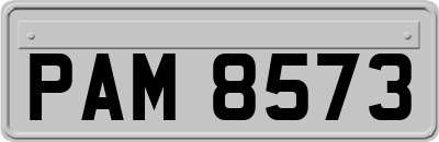 PAM8573