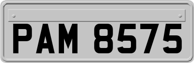 PAM8575