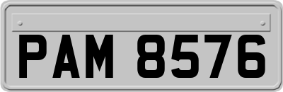 PAM8576