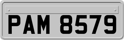 PAM8579