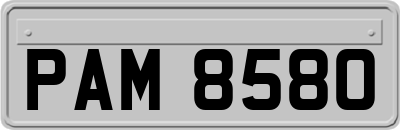 PAM8580