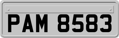 PAM8583