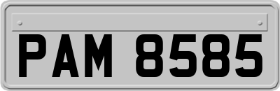 PAM8585