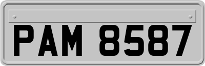 PAM8587