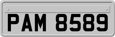 PAM8589
