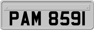 PAM8591