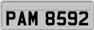 PAM8592