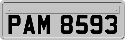 PAM8593