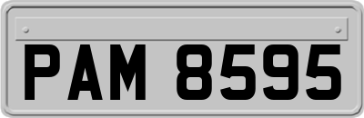 PAM8595
