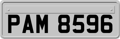 PAM8596